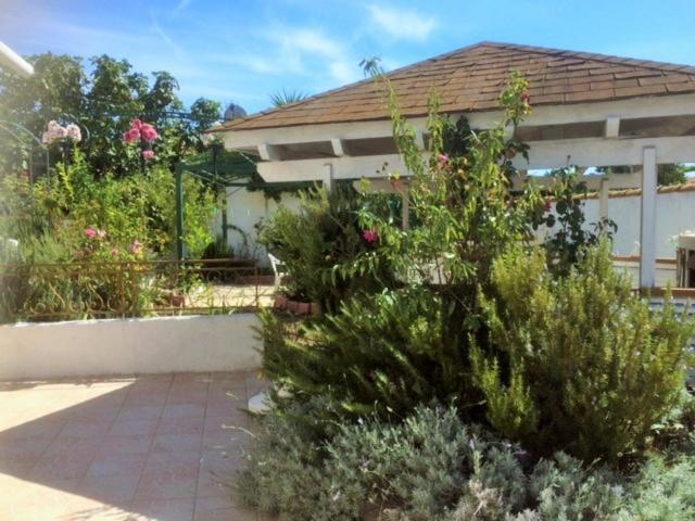 Appartement 3 Chambres Proche Mer Entre Palavas Les Flots Et Frontignan Plage Dans Maison Avec Jardin Villeneuve-lès-Maguelonne Dış mekan fotoğraf